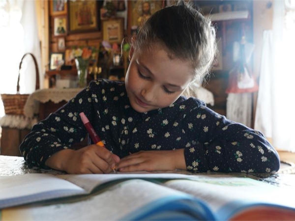 В правительстве России исключили полный переход на дистанционное образование