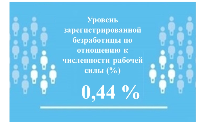 Уровень регистрируемой безработицы в Чувашской Республике составил 0,44%
